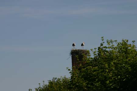 IMG_1658