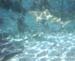 water1