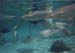 water2