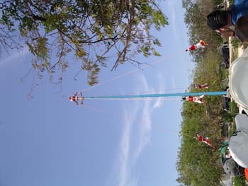tulum731